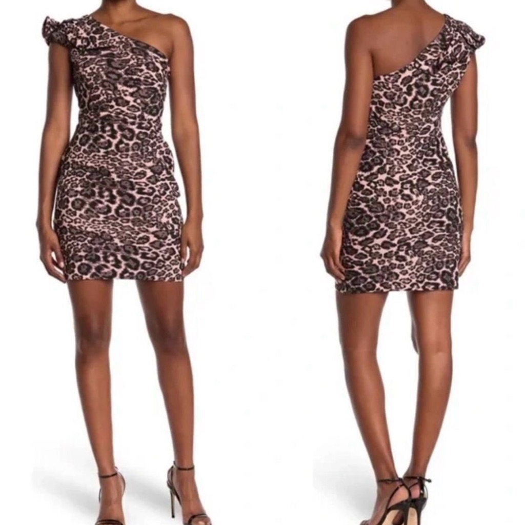 Parker Black (Size 6) Jojo One Shoulder Leopard Print Mini Dress